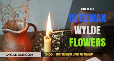 Crafting Beeswax Wylde Flowers: A Step-by-Step DIY Guide