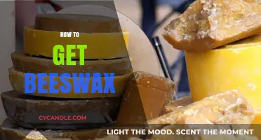 Harvesting Beeswax: A Beginner's Guide to Collecting and Using Beeswax