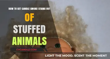 Effective Methods to Remove Candle Smoke Stains from Stuffed Animals