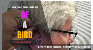 Safely Removing Candle Wax from Birds: A Step-by-Step Guide