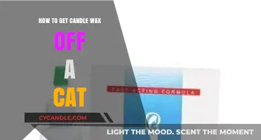 Safely Removing Candle Wax from Your Cat: Quick and Gentle Tips