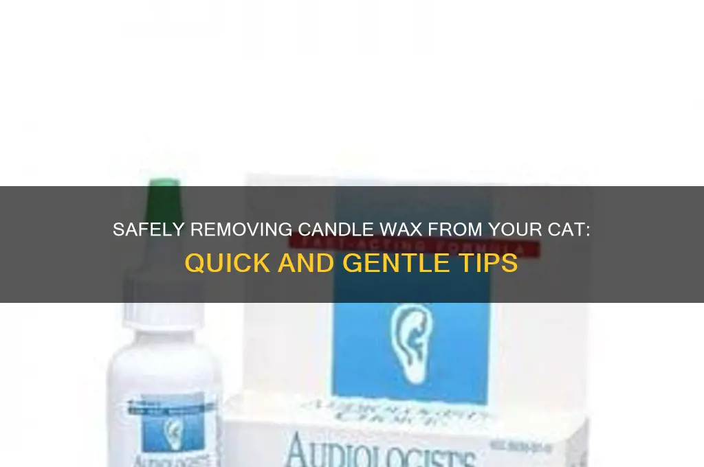 how to get candle wax off a cat