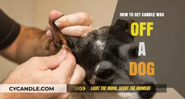 Quick Tips for Safely Removing Candle Wax from Your Dog