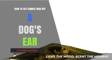 Safely Removing Candle Wax from Your Dog's Ear: A Step-by-Step Guide