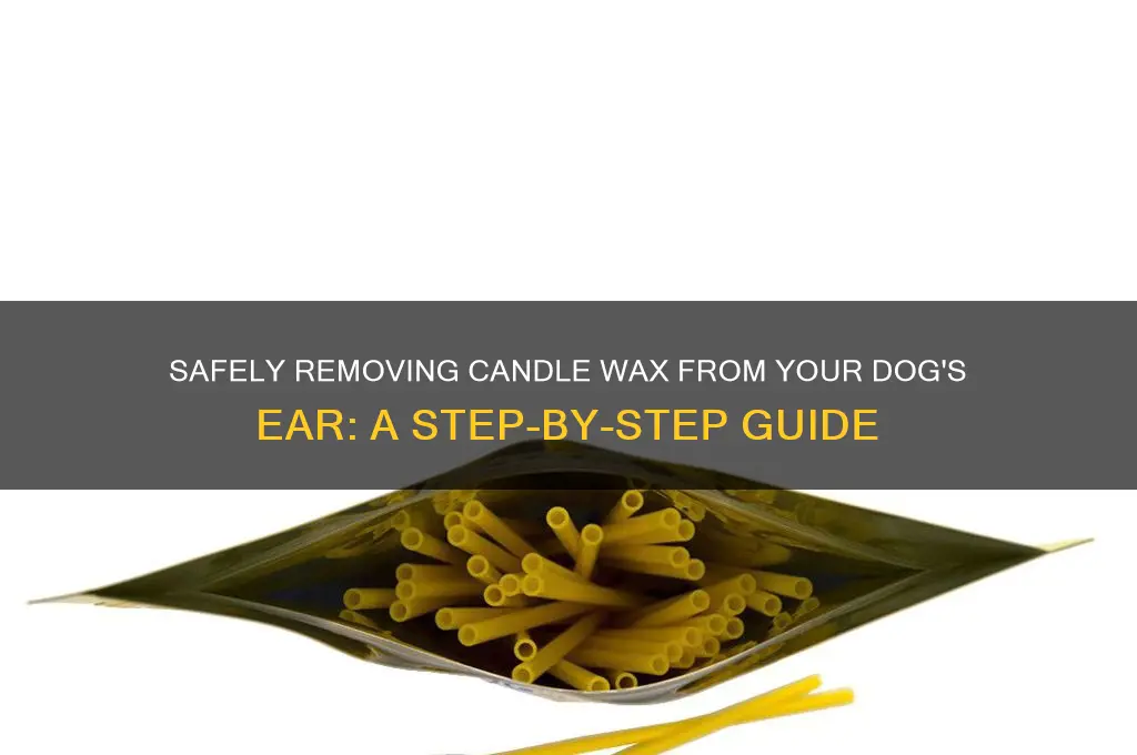 how to get candle wax off a dog