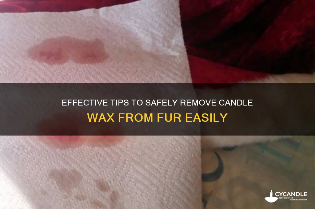 how to get candle wax off fur