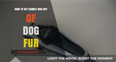 Quick Tips for Removing Candle Wax from Your Dog's Fur
