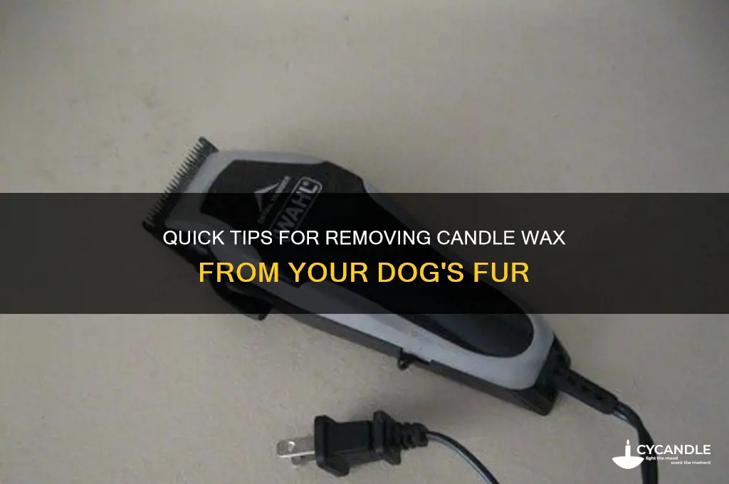 how to get candle wax out of dog fur