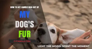 Quick Tips to Safely Remove Candle Wax from Dog's Fur