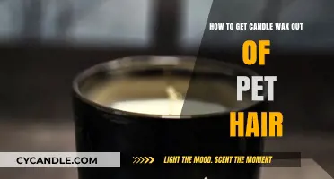 Effective Tips for Removing Candle Wax from Pet Hair Safely