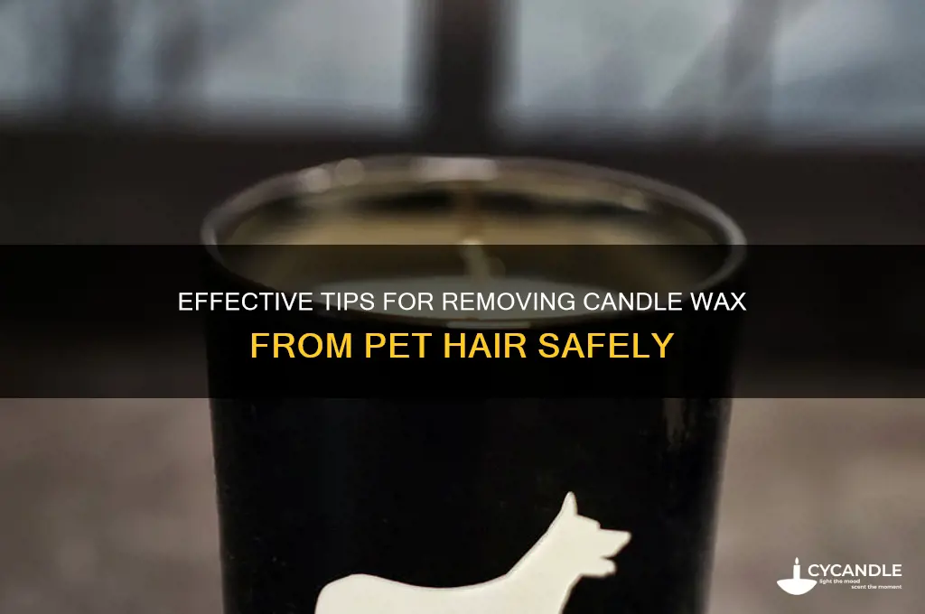 how to get candle wax out of pet hair