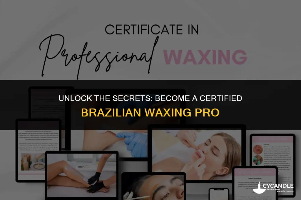 how to get certified in brazilian waxing