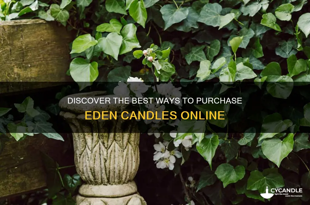 how to get eden candles