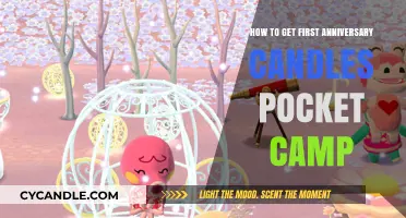 Pocket Camp First Anniversary Candles: Easy Guide to Obtain Them