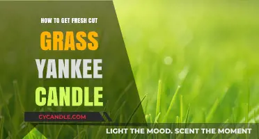 Fresh Cut Grass Yankee Candle: Tips to Find and Enjoy the Scent