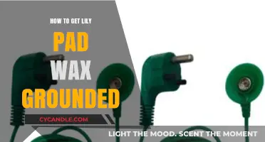 Eco-Friendly Lily Pad Wax Grounding: A Step-by-Step Guide