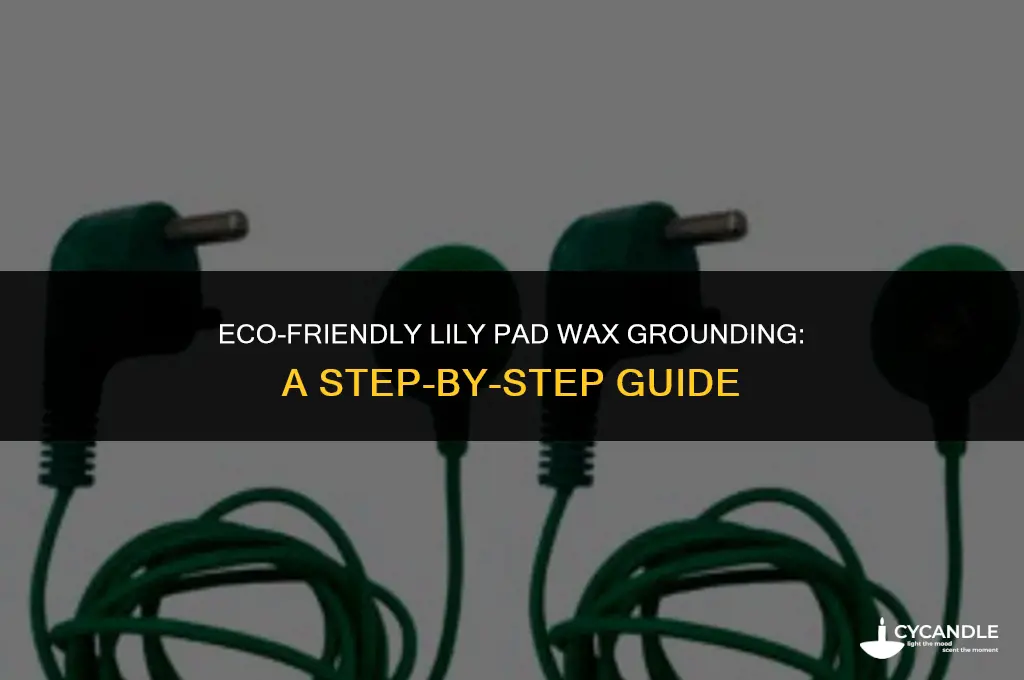 how to get lily pad wax grounded