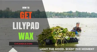 Eco-Friendly Lily Pad Wax Extraction: A Comprehensive Guide
