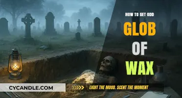 Unusual Wax Discoveries: How to Find and Identify Odd Globs