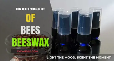 Effective Methods to Remove Propolis from Beeswax: A Step-by-Step Guide