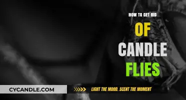 Effective Ways to Eliminate Candle Flies from Your Home