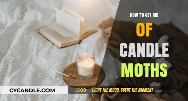 Effective Ways to Eliminate Candle Moths from Your Home