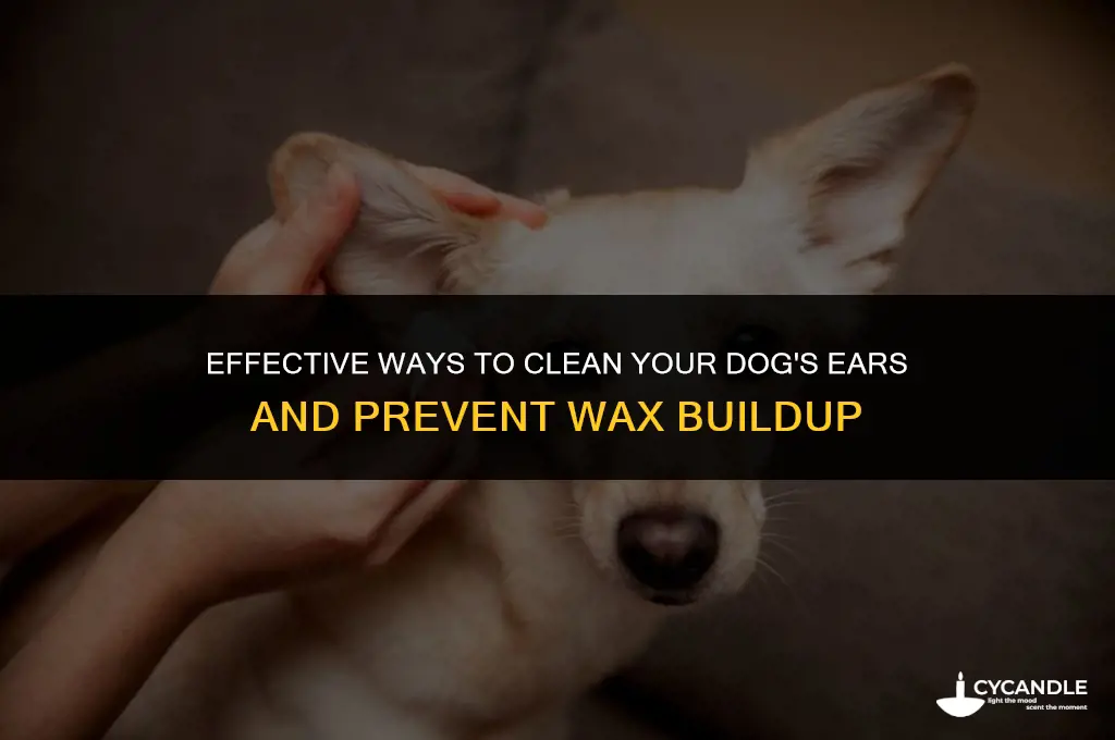 how to get rid of dog ear wax