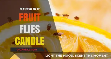 Effective Candle Method to Eliminate Fruit Flies in Your Home