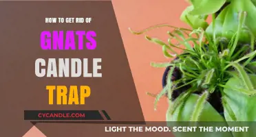 Effective Gnats Candle Trap: Eliminate Pesky Gnats with This Simple DIY Solution
