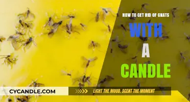 Candle Hack: Effective Way to Eliminate Gnats from Your Home