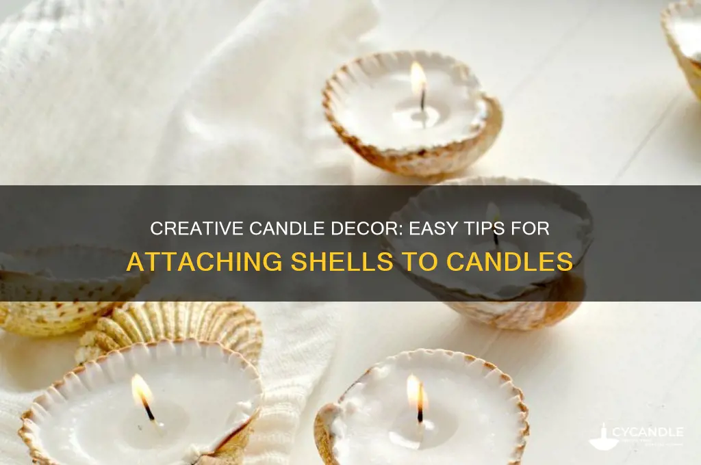 how to get shells to stick to candles
