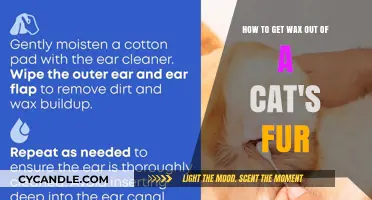 Feline Wax Removal: A Gentle Guide for Cat Owners