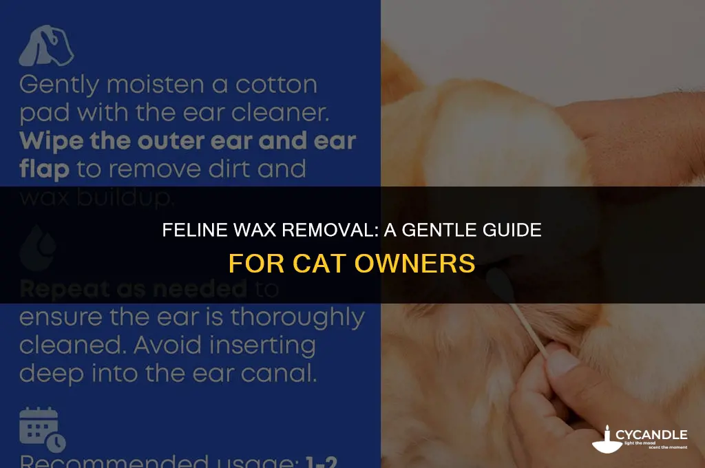 how to get wax out of a cat
