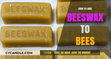 Supporting Bee Colonies: Effective Ways to Provide Beeswax for Healthy Hives