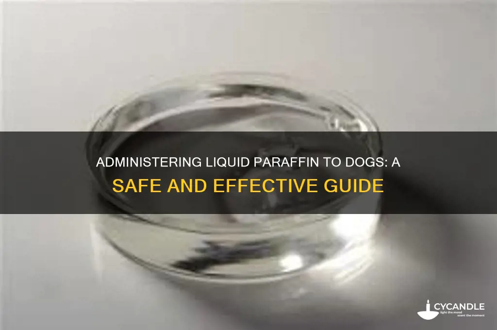 how to give liquid paraffin to a dog
