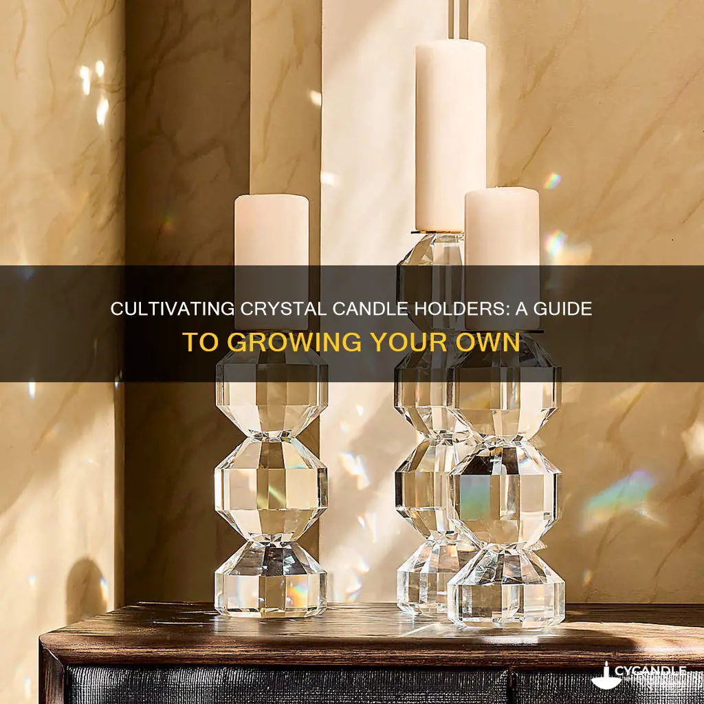 how to grow crystal candle holders