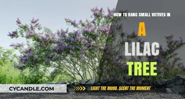 Enchanting Lilac Tree: A Guide to Hanging Small Votives