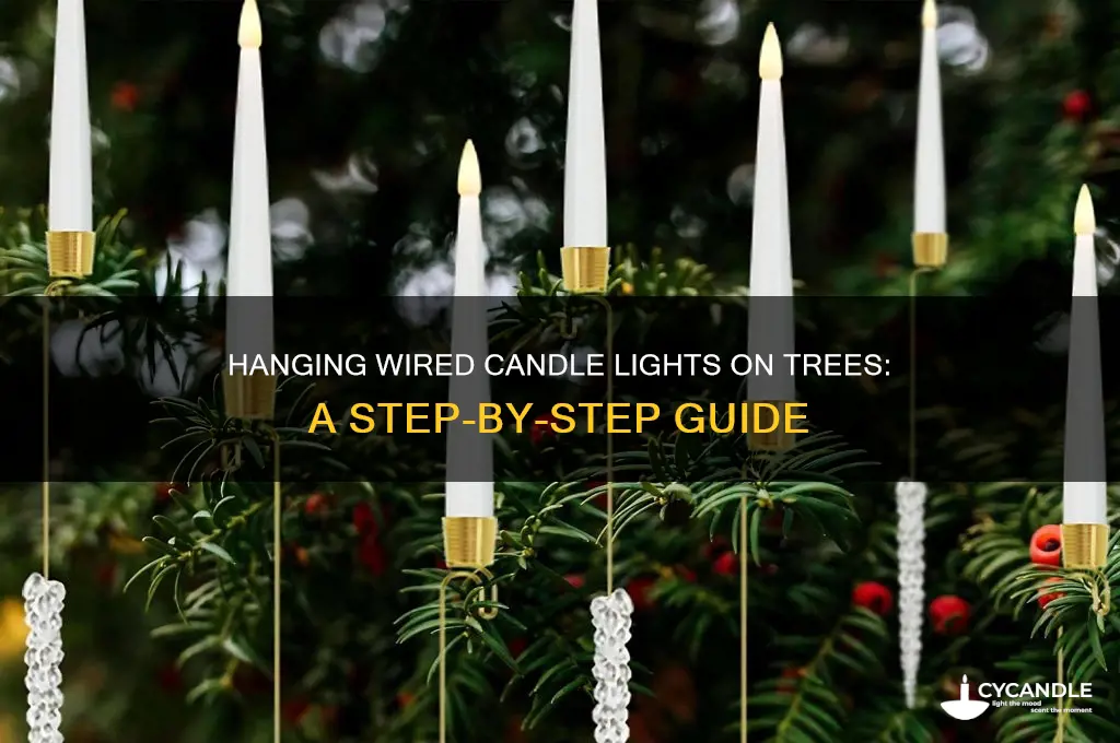 how to hang wired candle lights on tree