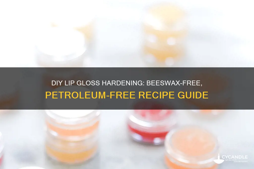 how to harden diy lip gloss no beeswax or petroleum