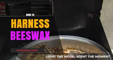 Mastering Beeswax: Creative Uses and Sustainable Harnessing Techniques Revealed
