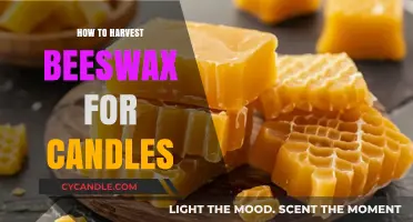 Harvesting Beeswax for Candles: A Step-by-Step Guide