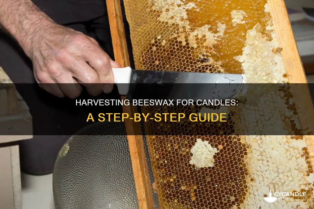 how to harvest beeswax for candles