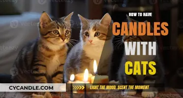 Safe Candle Tips for Cat Owners