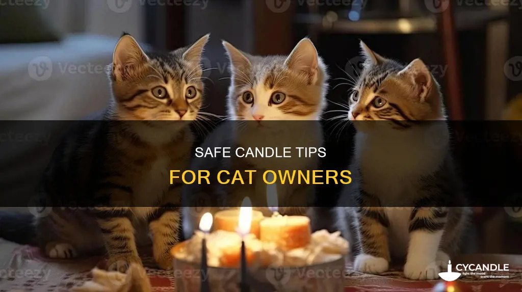 how to have candles with cats