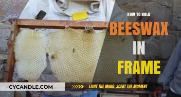 Mastering Beekeeping: Effective Techniques to Secure Beeswax in Frames