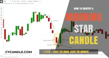 Spotting the Morning Star: A Trader's Guide