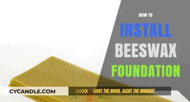 Step-by-Step Guide to Installing Beeswax Foundation in Beehives