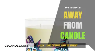 Keep Cats Away from Candles: Tips to Ensure Safety