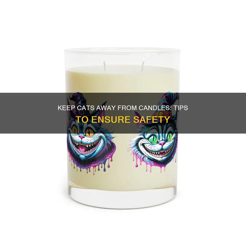 how to keep cat away from candle