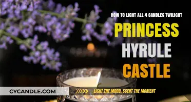Lighting Twilight Princess Hyrule Castle's Four Candles: A Step-by-Step Guide